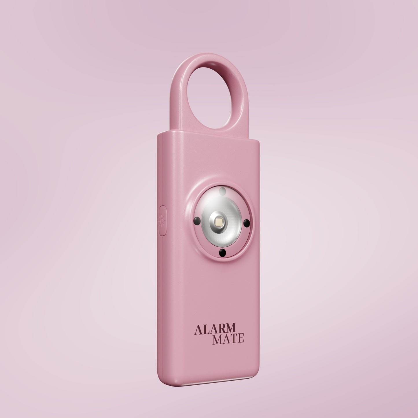 Alarm Mate